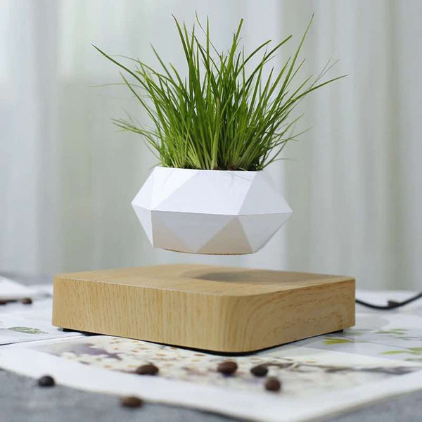 Levitating Bonsai Flower Pot Rotation - Endmore. | A Life Well Designed.