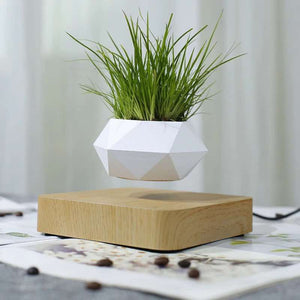 Levitating Bonsai Flower Pot Rotation Workspace Products Endmore. | A Life Well Designed. 
