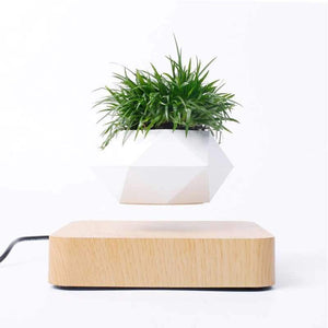 Levitating Bonsai Flower Pot Rotation Workspace Products Endmore. | A Life Well Designed. Light wood base 