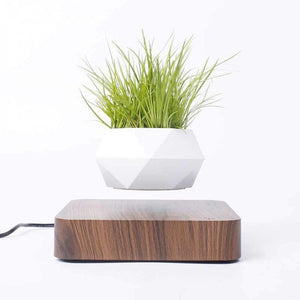 Levitating Bonsai Flower Pot Rotation Workspace Products Endmore. | A Life Well Designed. Walnut base 